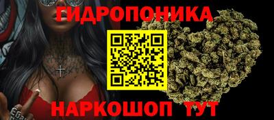 PSILOCYBIN Будённовск