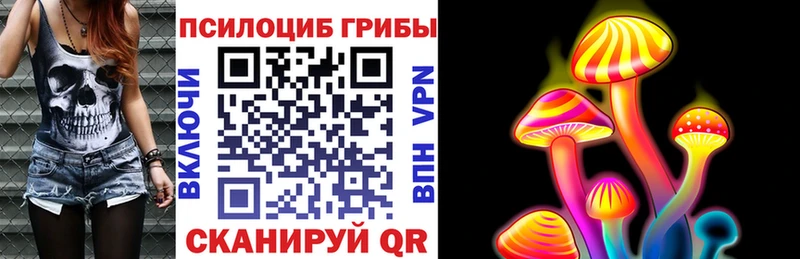 Псилоцибиновые грибы Cubensis  это состав  Первоуральск  сколько стоит 